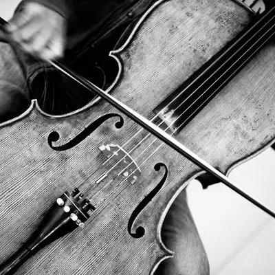 Music Everywhere...