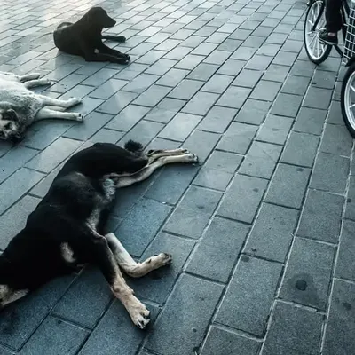 Rest Street...