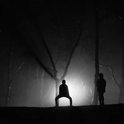 Creatures of the night...