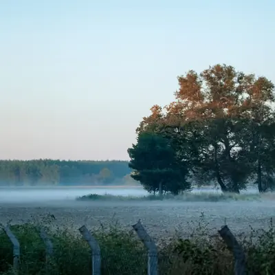 Misty Fields...