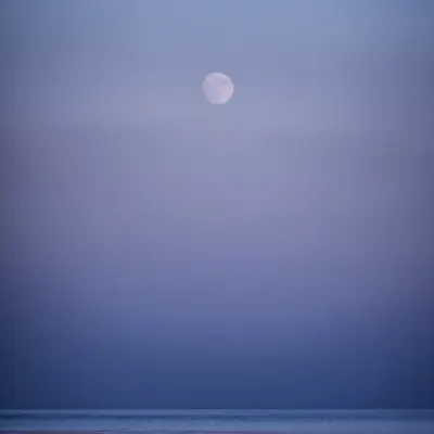 A Quiet Moment...