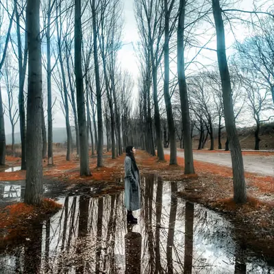 Longing for Spring