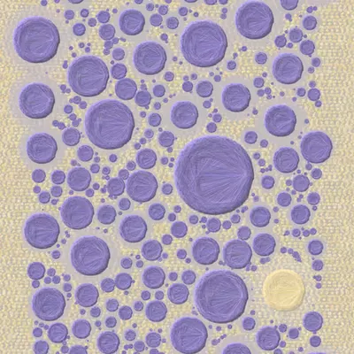 lavender fields