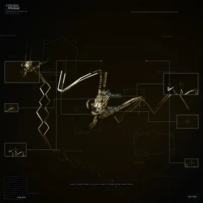 ETHEREAL SYNTAX #26