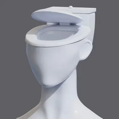 toilet head