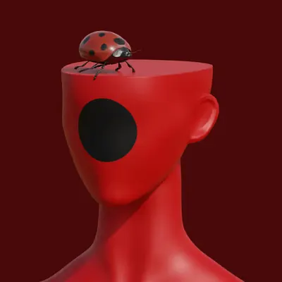 ladybug