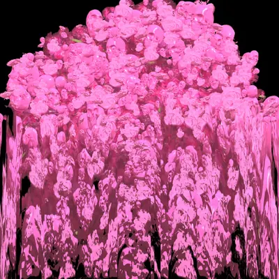 𝓟𝓵𝓪𝓼𝓽𝓲𝓬 𝓛𝓸𝓿𝓮