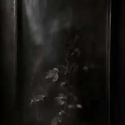 Shadows Beneath Wrought Passages