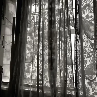 Shadowed Moments in Daylight