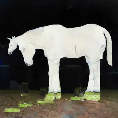 š