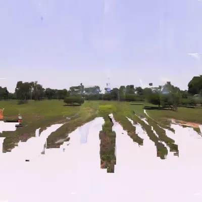 þ