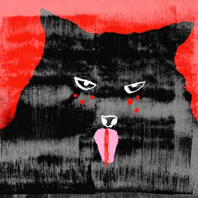 drama cat