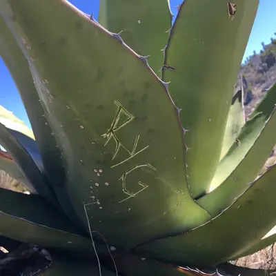 ∞