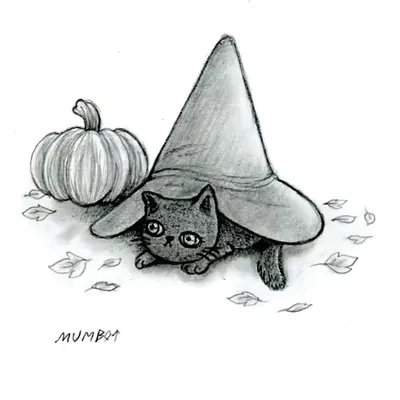 Cocoa Bean the Cat