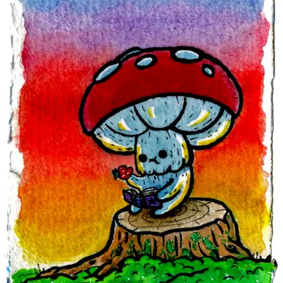 Book Shroom