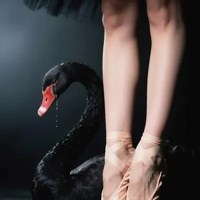 Swan Lake