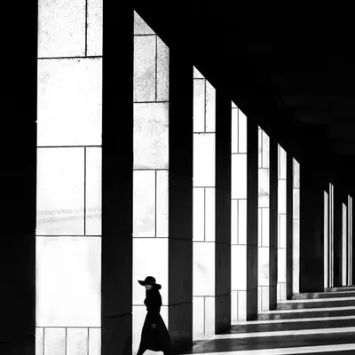 Into the Light