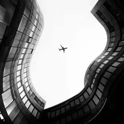 Flight Number