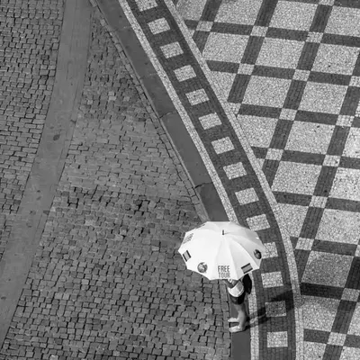 Umbrella 
