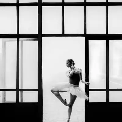 Pure Elegance and Geometry
