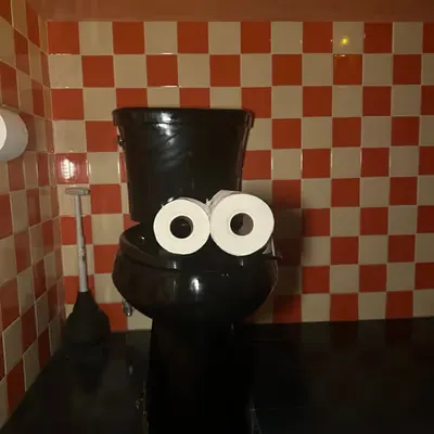 Pepe Toilets NYC #23