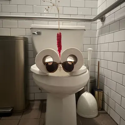 Pepe Toilets NYC #36
