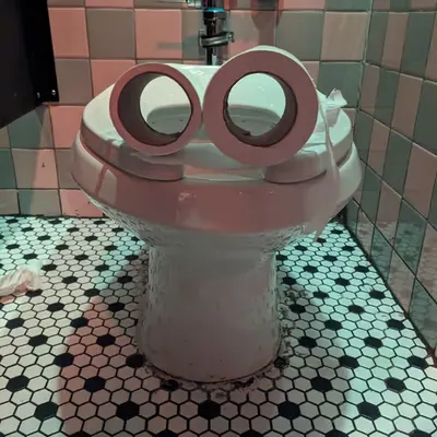Pepe Toilets NYC #45