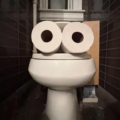 Pepe Toilets NYC #50