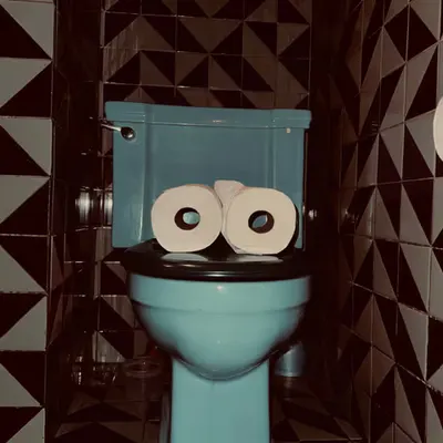 Pepe Toilets NYC #22