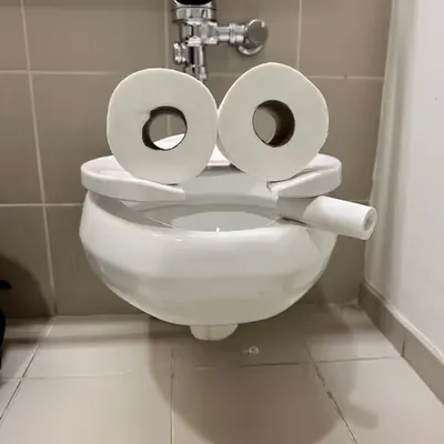 Pepe Toilets NYC #13