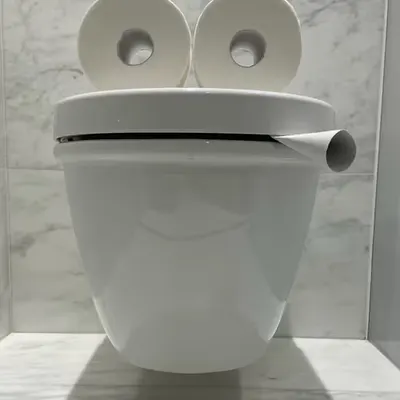 Pepe Toilets NYC #69