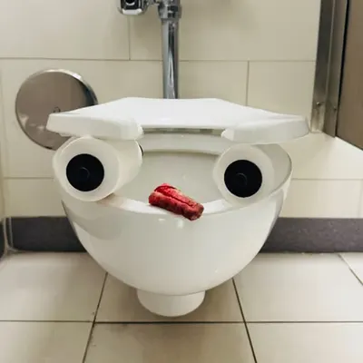Pepe Toilets NYC #56
