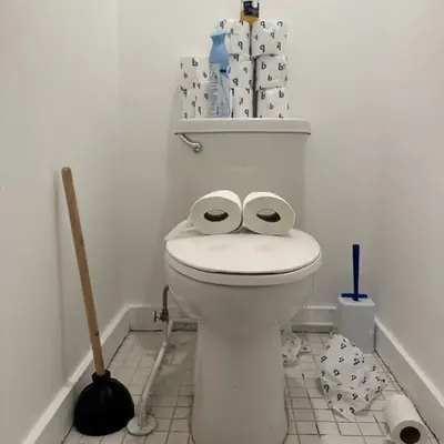 Pepe Toilets NYC #66