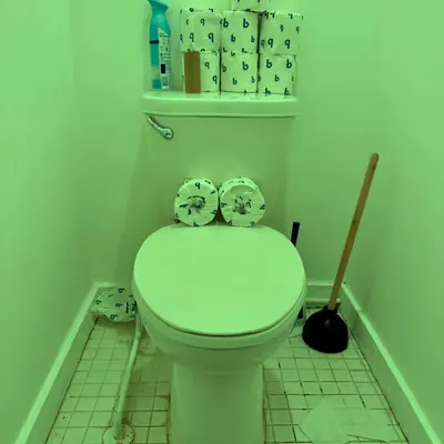Pepe Toilets NYC #47