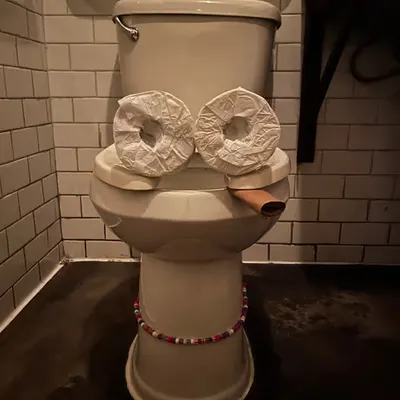 Pepe Toilets NYC #42