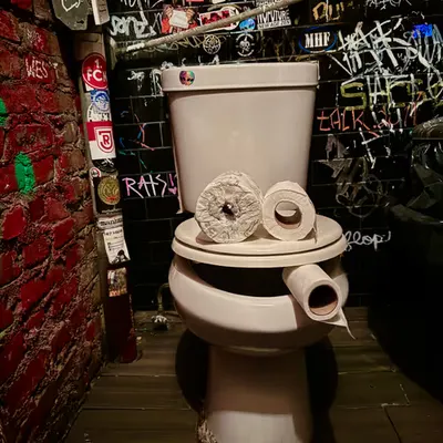Pepe Toilets NYC #28