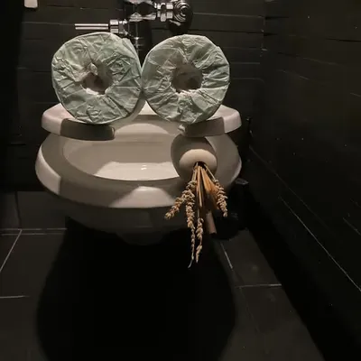 Pepe Toilets NYC #44