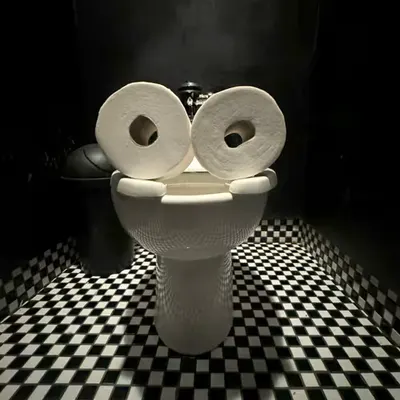 Pepe Toilets NYC #12
