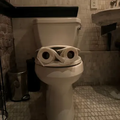 Pepe Toilets NYC #26