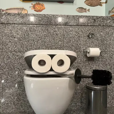 Pepe Toilets NYC #24