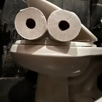 Pepe Toilets NYC #51