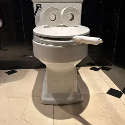 Pepe Toilets NYC #14