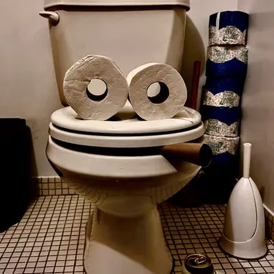 Pepe Toilets NYC #30