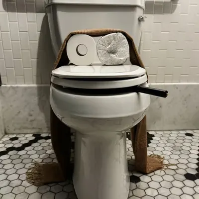 Pepe Toilets NYC #18