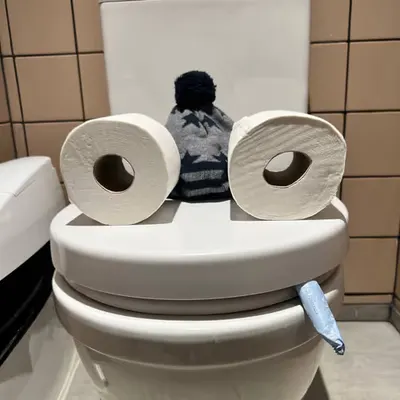 Pepe Toilets NYC #62
