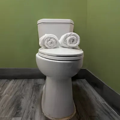 Pepe Toilets NYC #20