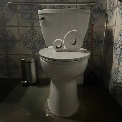 Pepe Toilets NYC #64