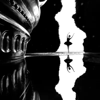 Pure Reflection