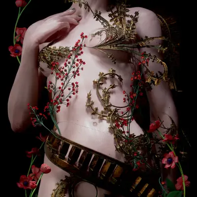 Aurelia’s Blossom #2