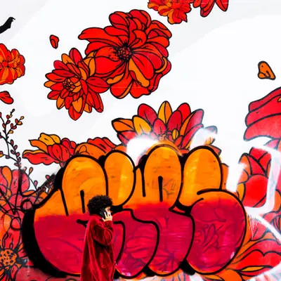 Wall Flower